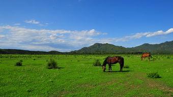 唐指山风景区最新爆料,探秘自然奇观，体验生态之旅